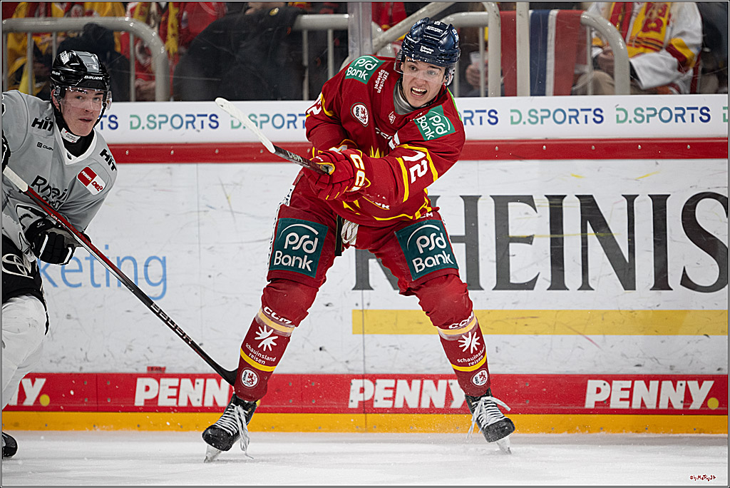 PENNY DEL 1; Düsseldorfer EG - Kölner Haie; Düsseldorf, 24.01.2025